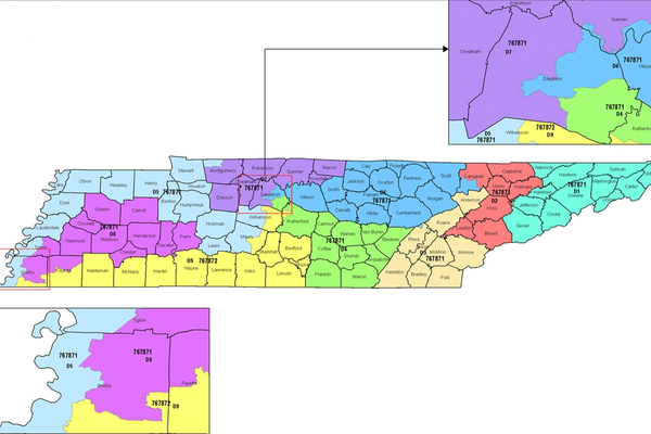 Four Bills Move Forward to Pave the Way for Redistricting