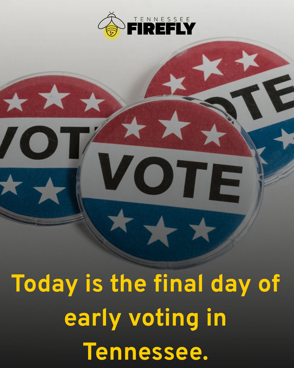 Today Is the Final Day to Vote Early in Tennessee