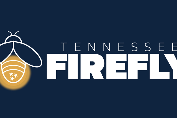 Metro Nashville and Memphis-Shelby County school districts open school options applications this month