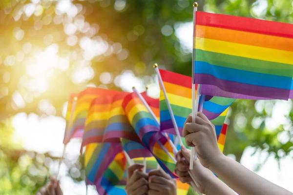 Williamson County students complain of intimidation from adults following pride flag discussion