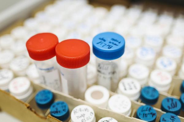 Kingsport City Schools passes drug testing policy