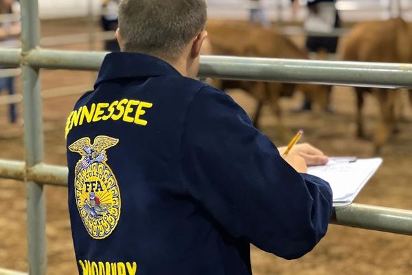 Tennessee FFA membership at an all-time high