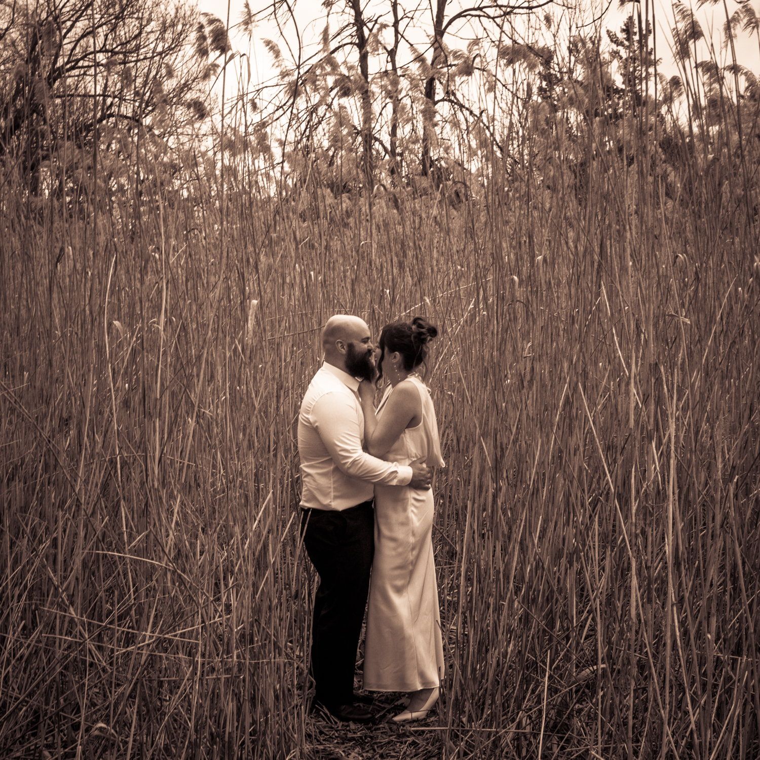 A couple in cream outfits embracing in tall winter reeds