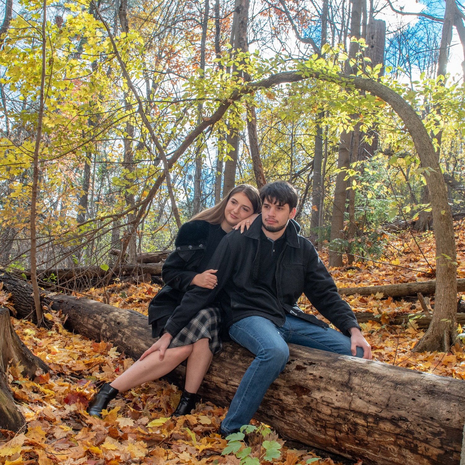 A couple sitting on a fallen log under an arch of yellow autumn leaves