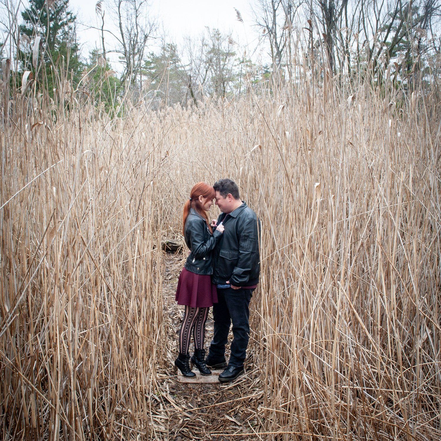 A couple standing close together in a stand of head-high golden reeds