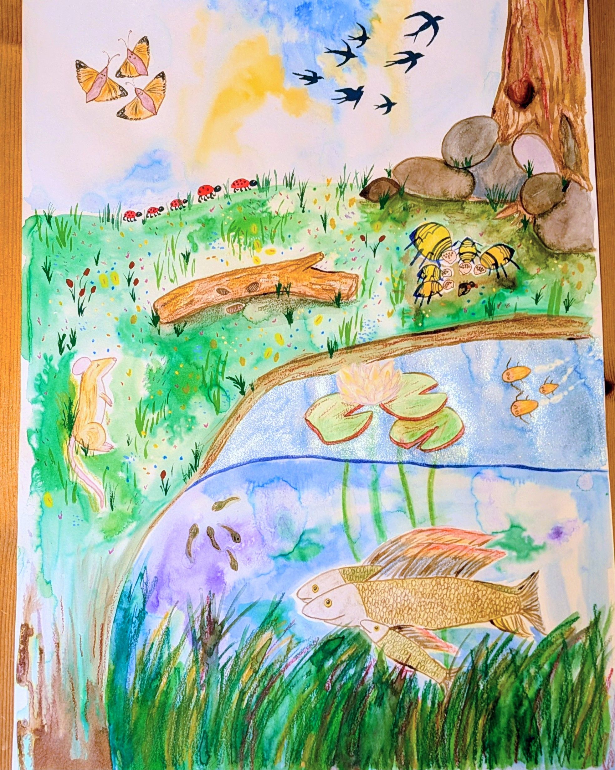 Pond Life