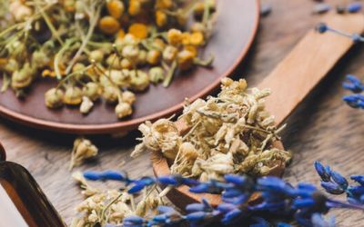 What Are Botanical Extracts?