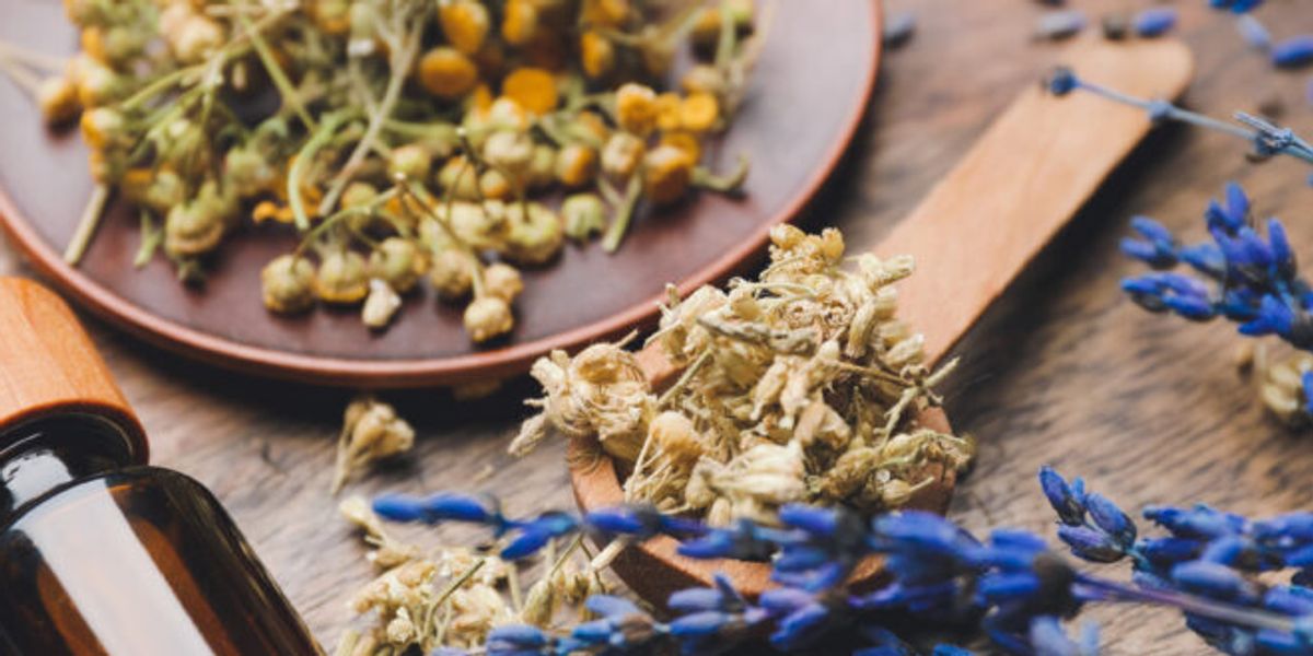 What Are Botanical Extracts?