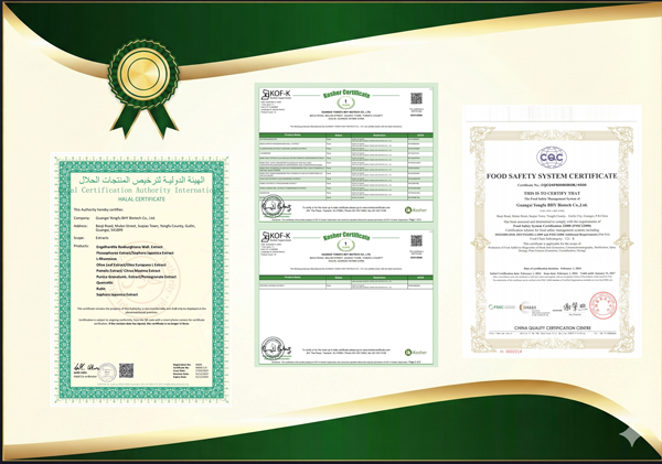 Global Certifications