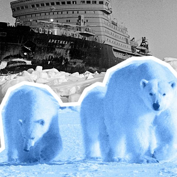 Влияние Арктики