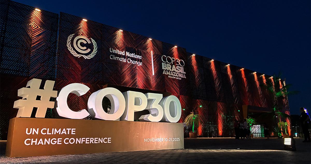 COP30. По кирпичику: интересы БРИКС в арктическом климате