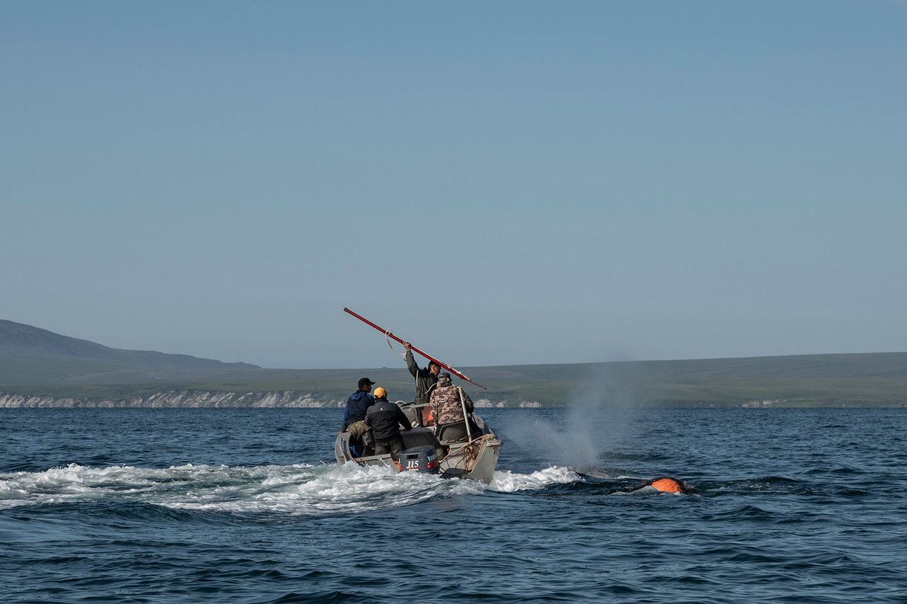 [object Object],[object Object]