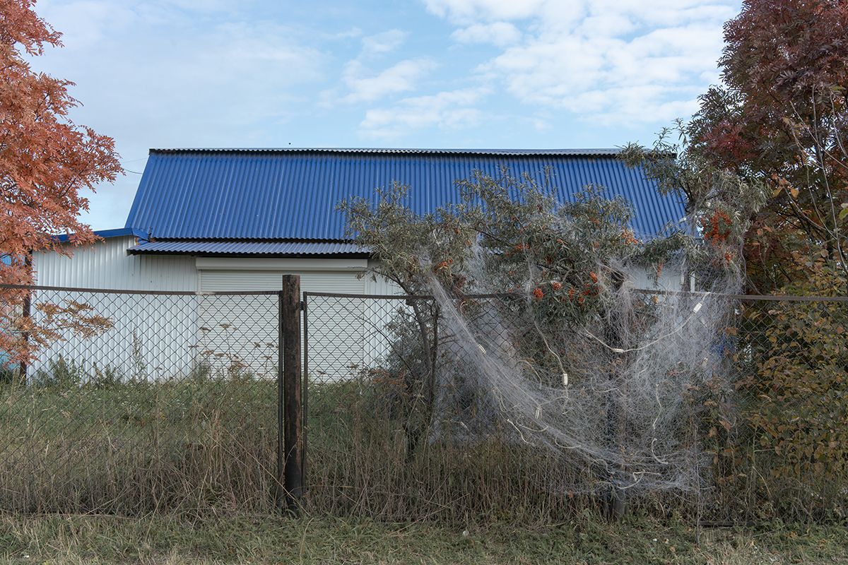 A fishing net is hung to dry over a sea buckthorn bush by a wire fence. In the background is a building with a blue metal roof. Autumn trees with foliage. Bulava village, Khabarovsk Krai.