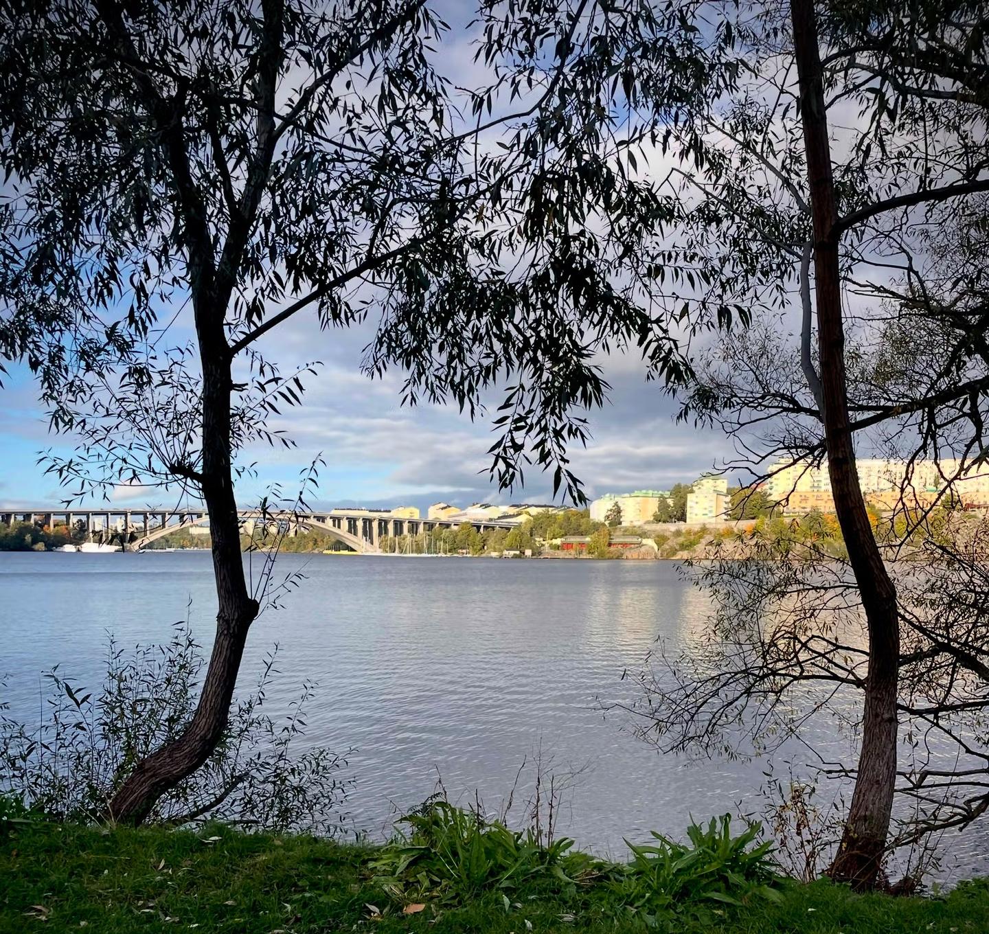 Stora Essingen, Stockholm, Utsikt från bastun