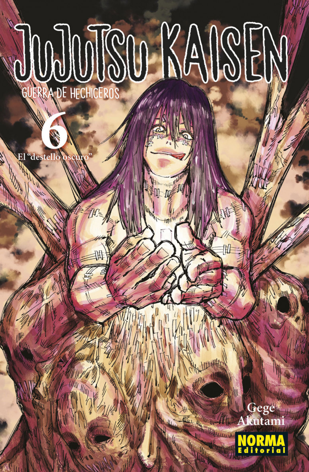 Jujutsu Kaisen 6