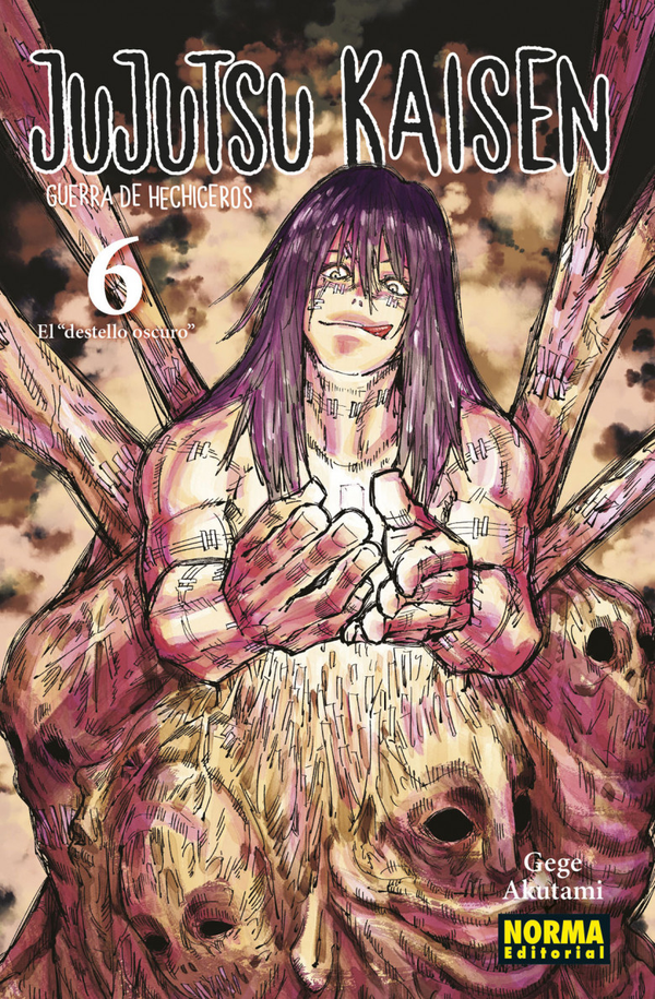 Jujutsu Kaisen 6