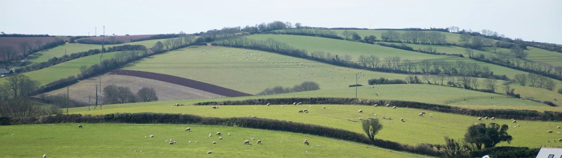 Financial Services - Manor Farms