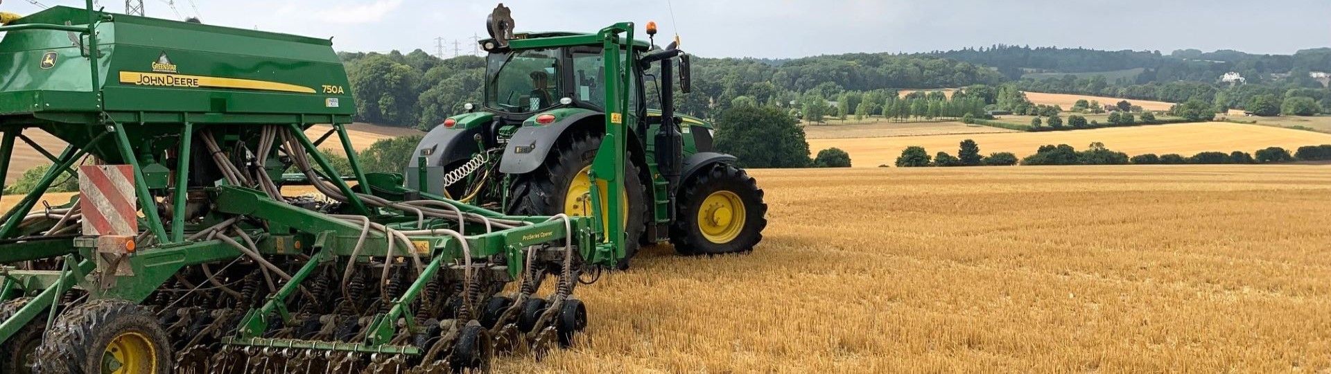 Procurement Offering