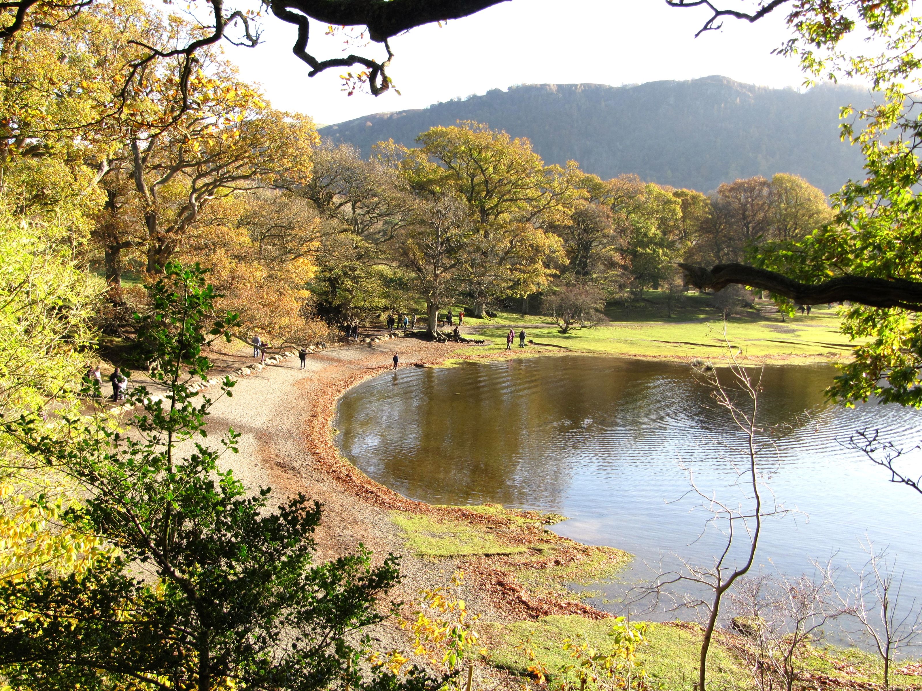 The shingle beach at Calf Close Bay with autumn trees along the shore