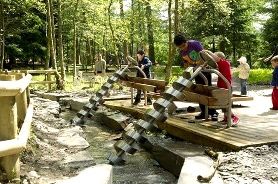 Children enjoying Whinlatter wild play area