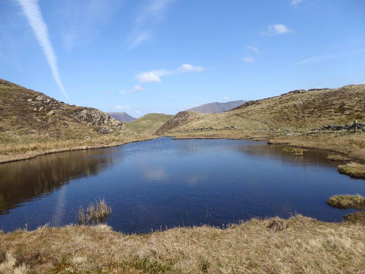 A dark tarn among rough grass with the fells closing round it