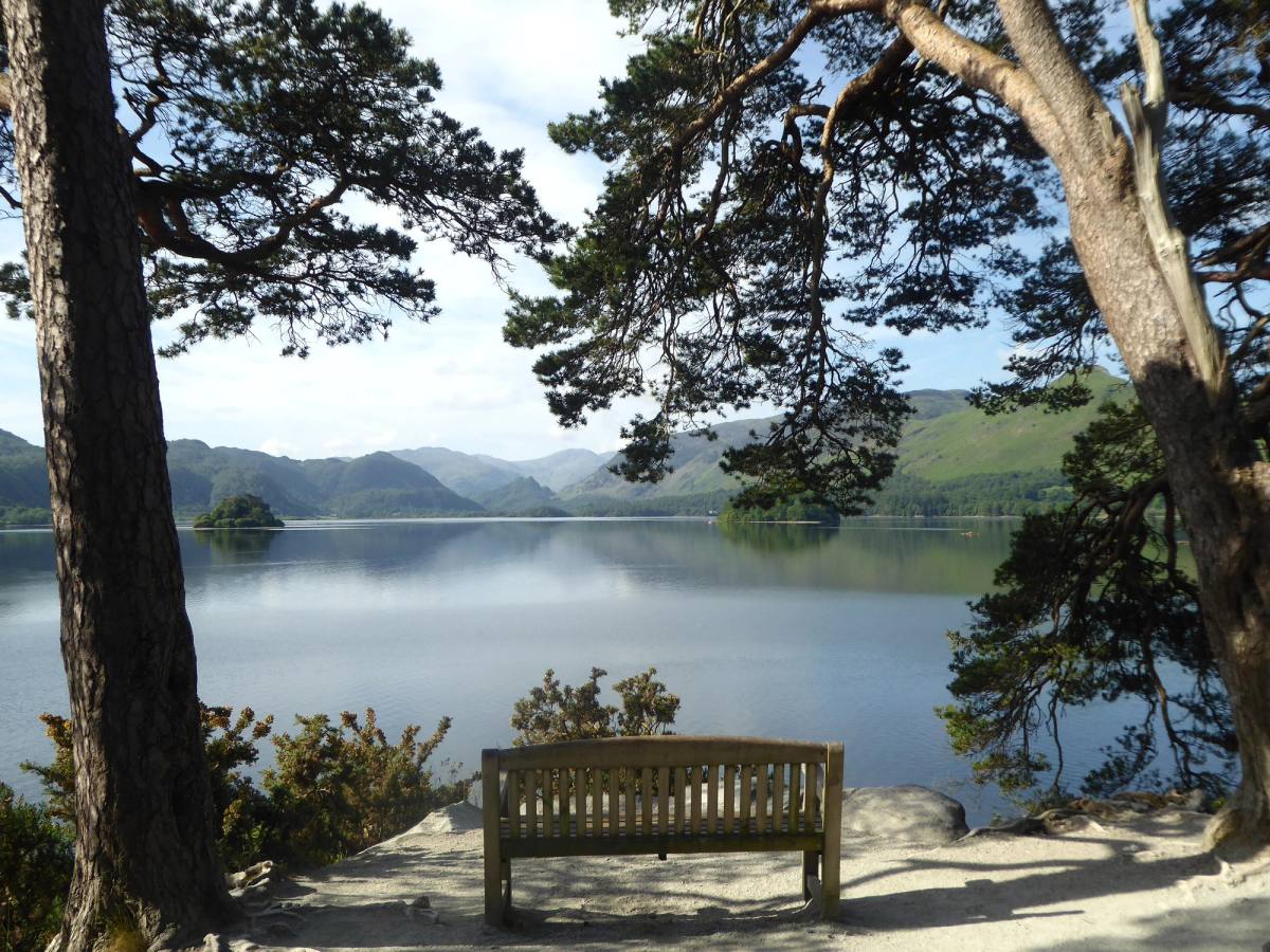 Derwentwater seen from Friars Crag between old Scots pines with a bench on the path