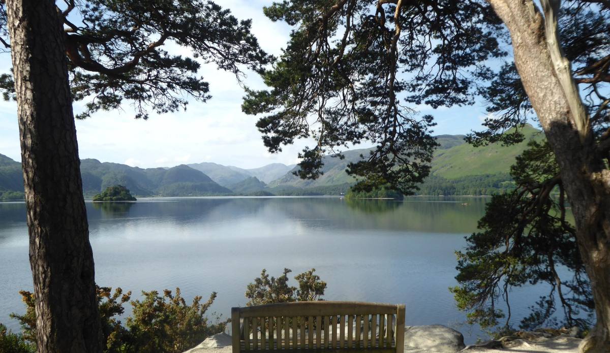 Derwentwater seen from Friars Crag between old Scots pines with a bench on the path