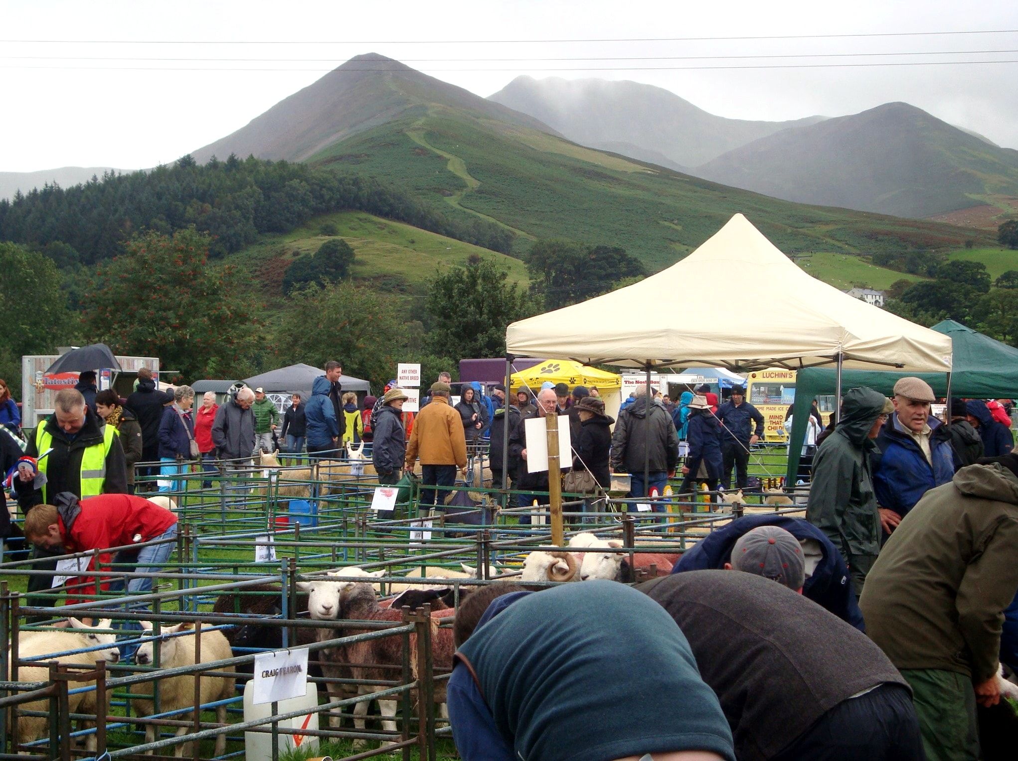 Keswick Show