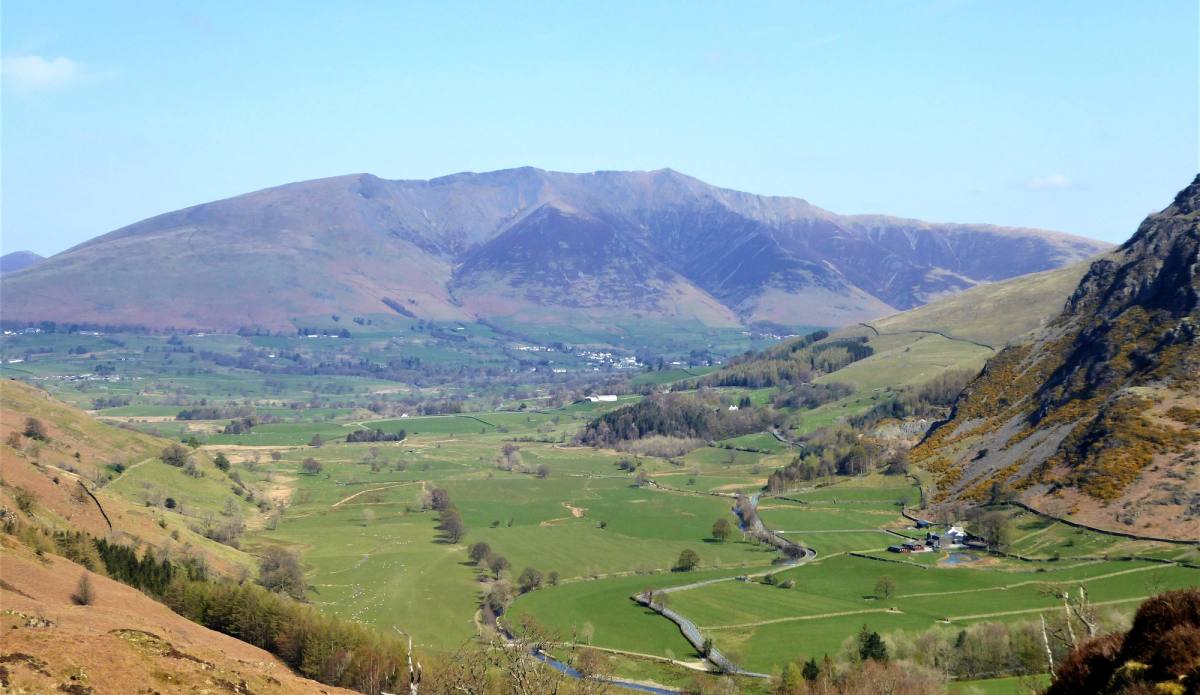 The green vale with its farms and walls seen from the ridge with Blencathra beyond