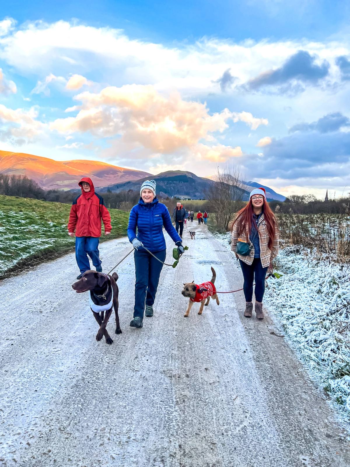 Walkers and their dogs enjoying the views on the walk