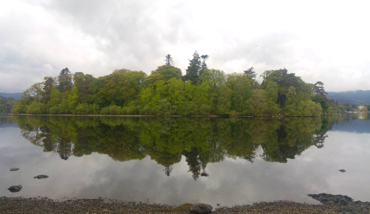 A densely wooded island mirrored in flat calm lake water