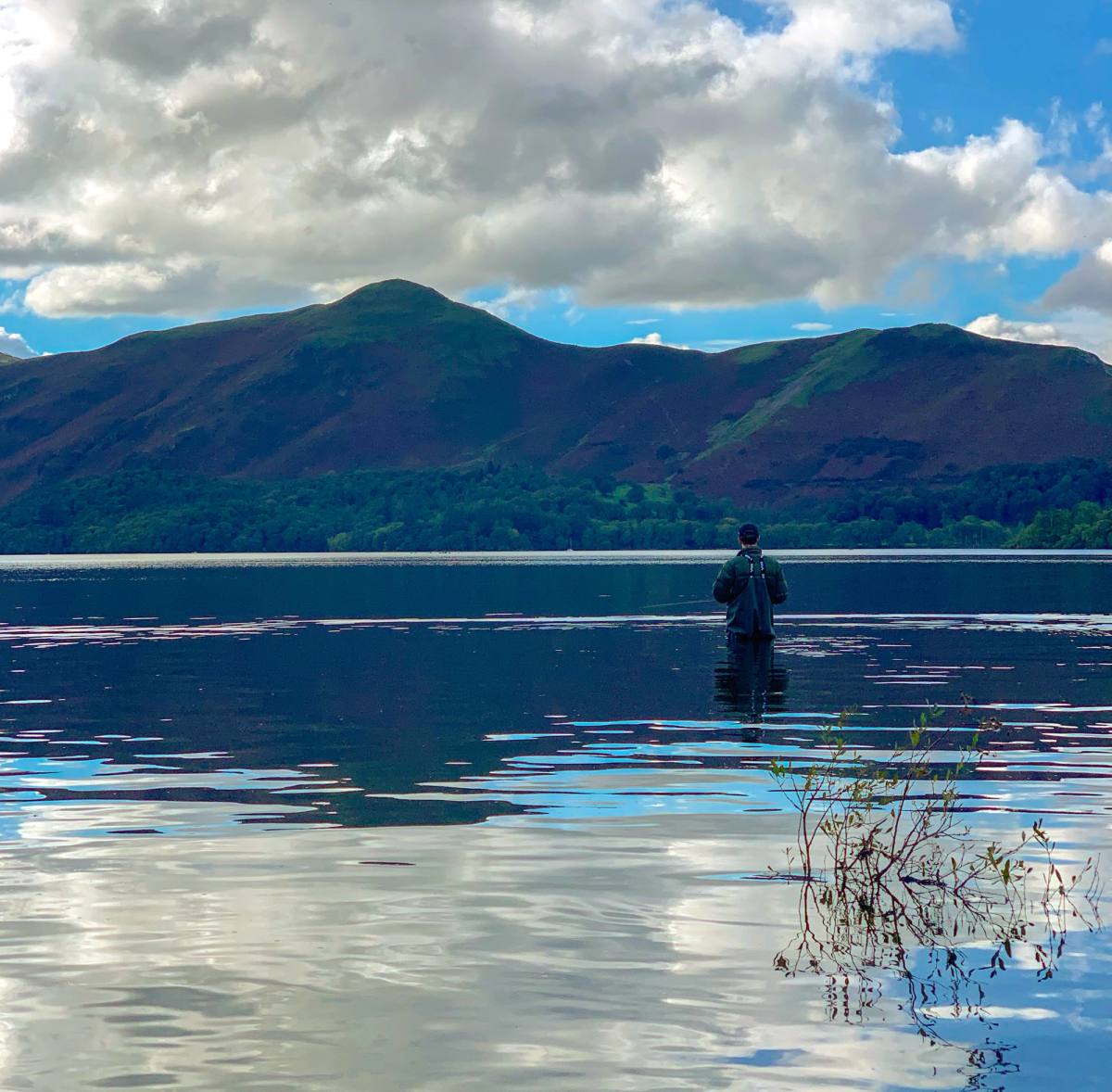 A heron standing motionless in the shallows with the fells behind