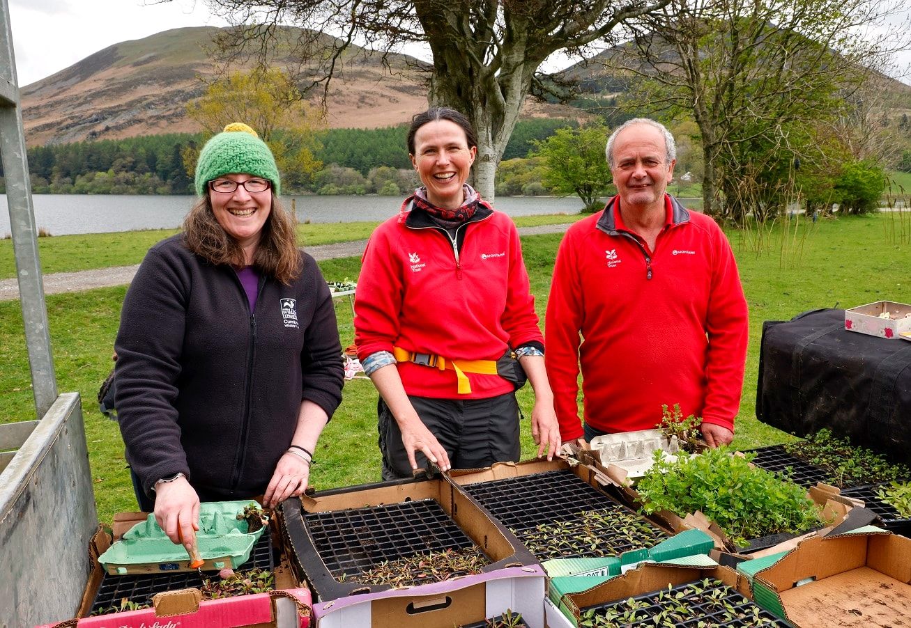 National Trust and Cumbria Wildlife Trust staff preparing for the days plug planting. Photo credit: John Macfarlane