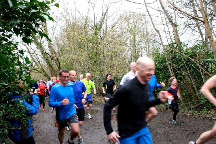 Runners in a fell race streaming along a wooded track