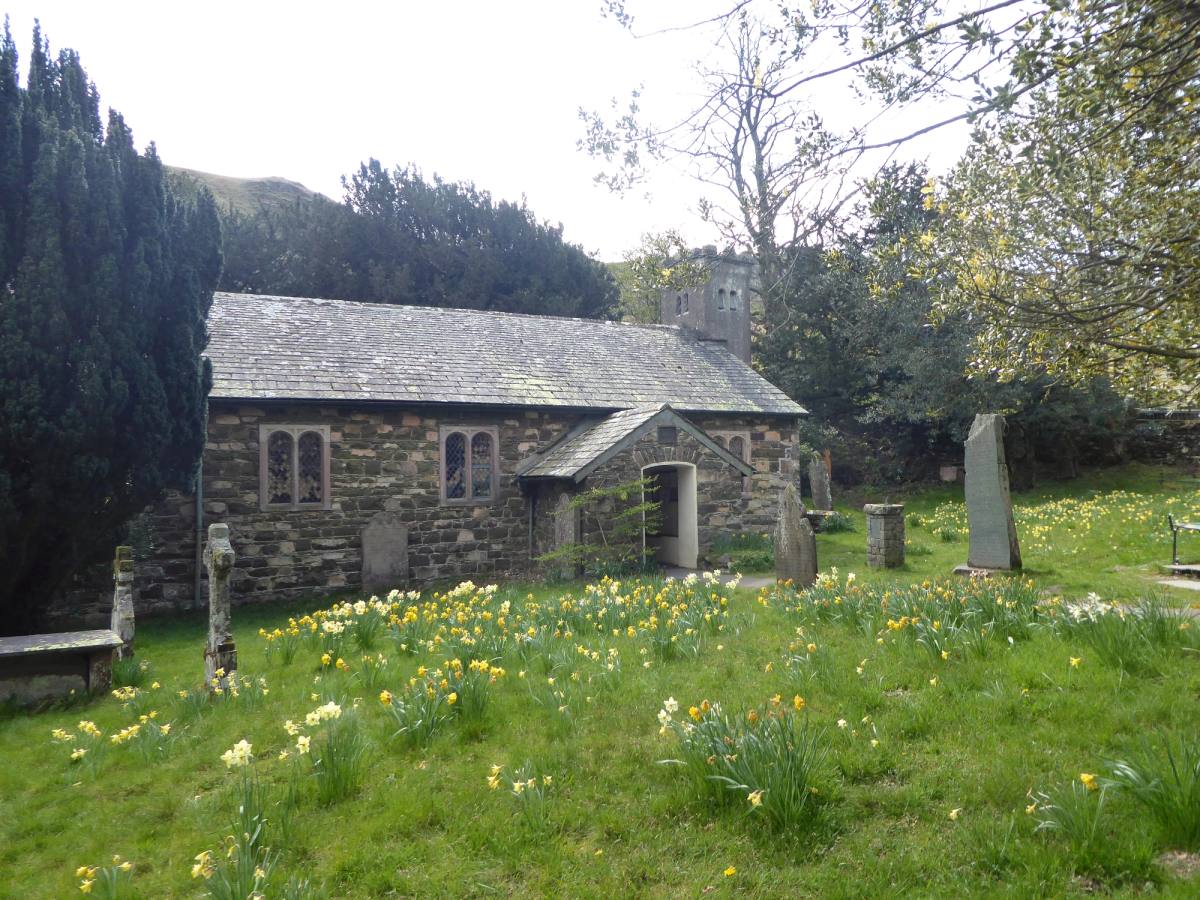 Daffodils in the churchyard of the small stone church at St Johns in the Vale