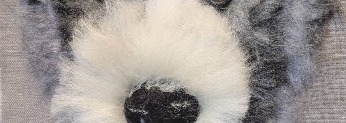 Needle Felt an Animal -or Pet - Portrait ~ with Jane Makes