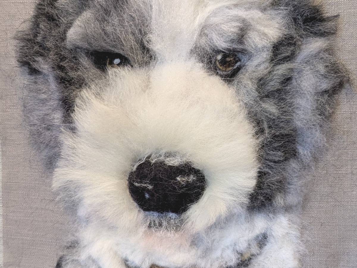 Needle Felt an Animal -or Pet - Portrait ~ with Jane Makes