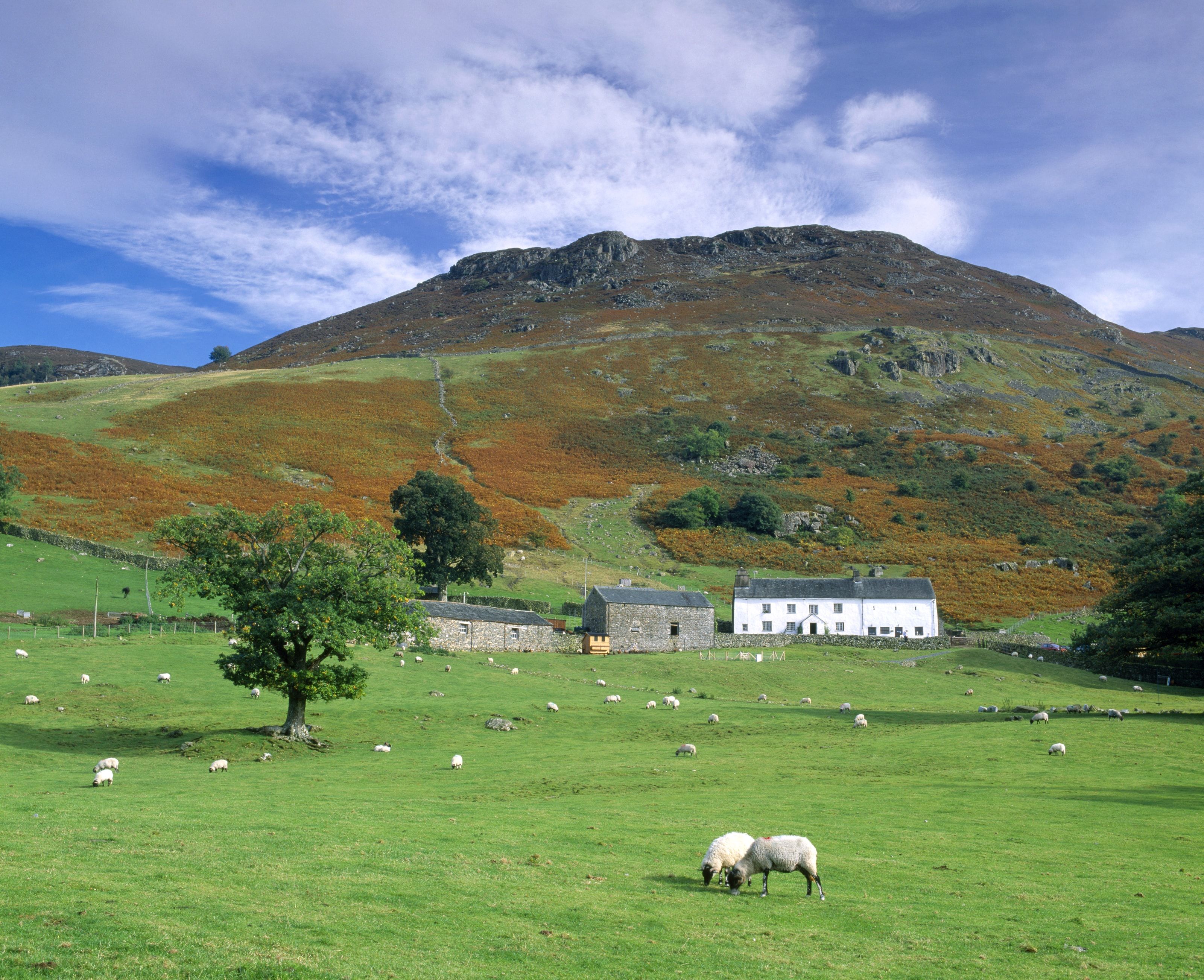 Ashness Farm ©National Trust Images David Noton