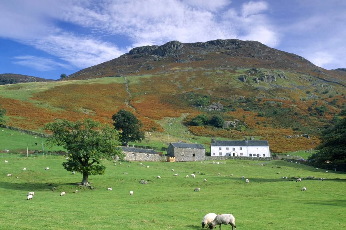 Ashness Farm ©National Trust Images David Noton
