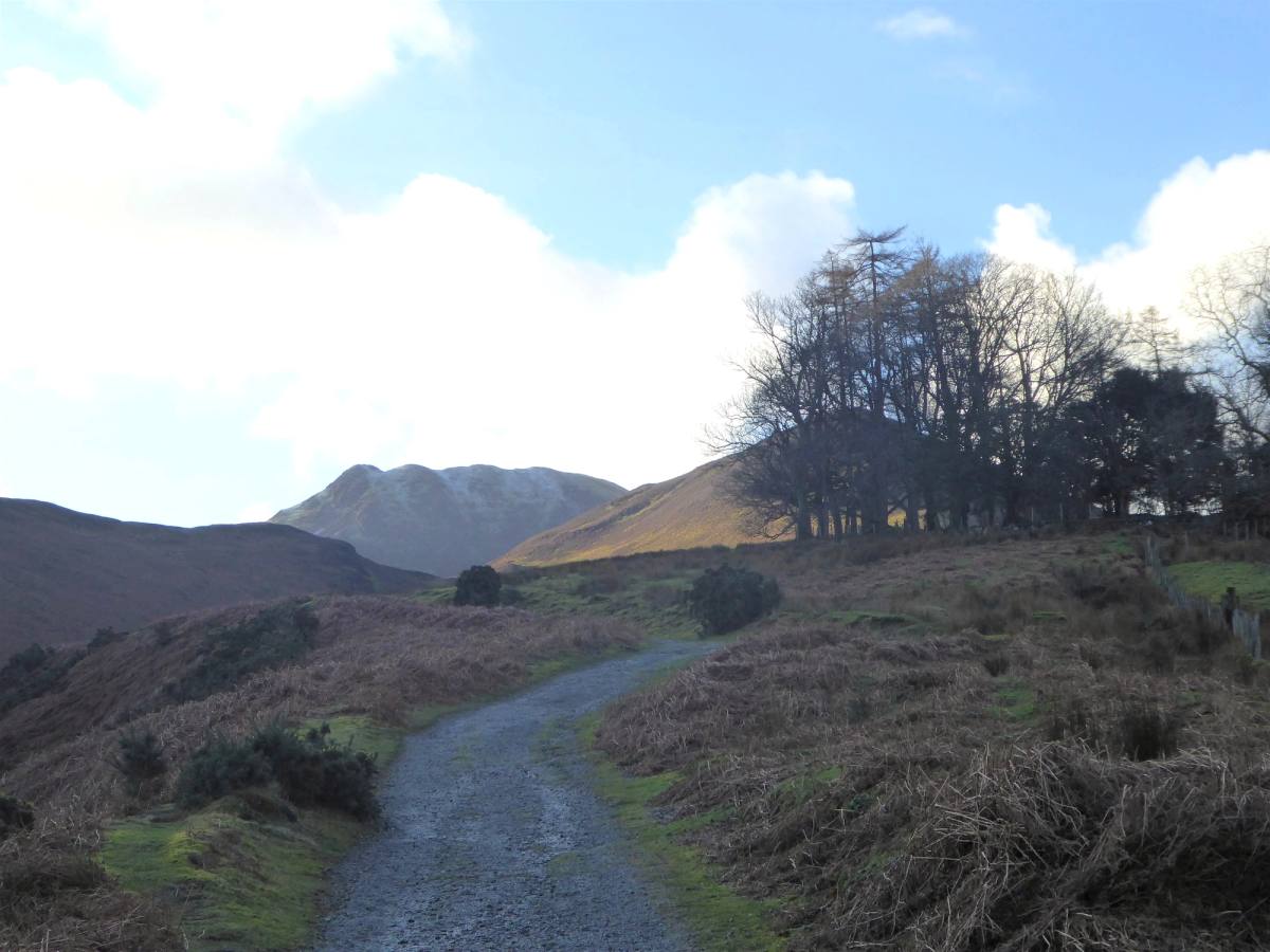 A stony path climbing through heather and rough grass towards the tops