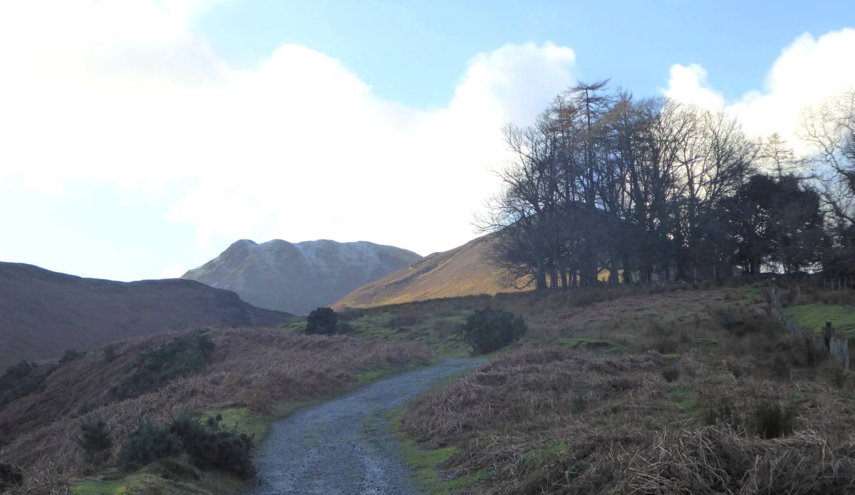 A stony path climbing through heather and rough grass towards the tops
