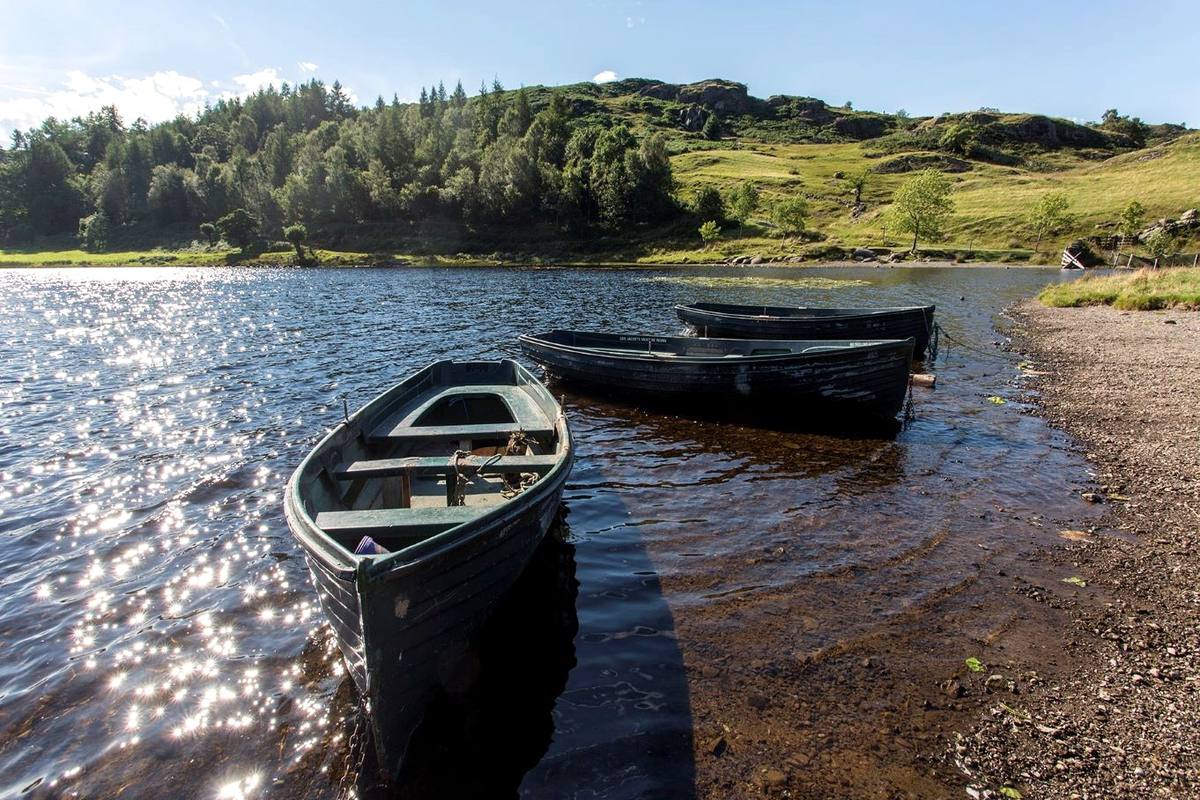 Wooden rowing boats pulled up on a shingle shore with sunlight on the water