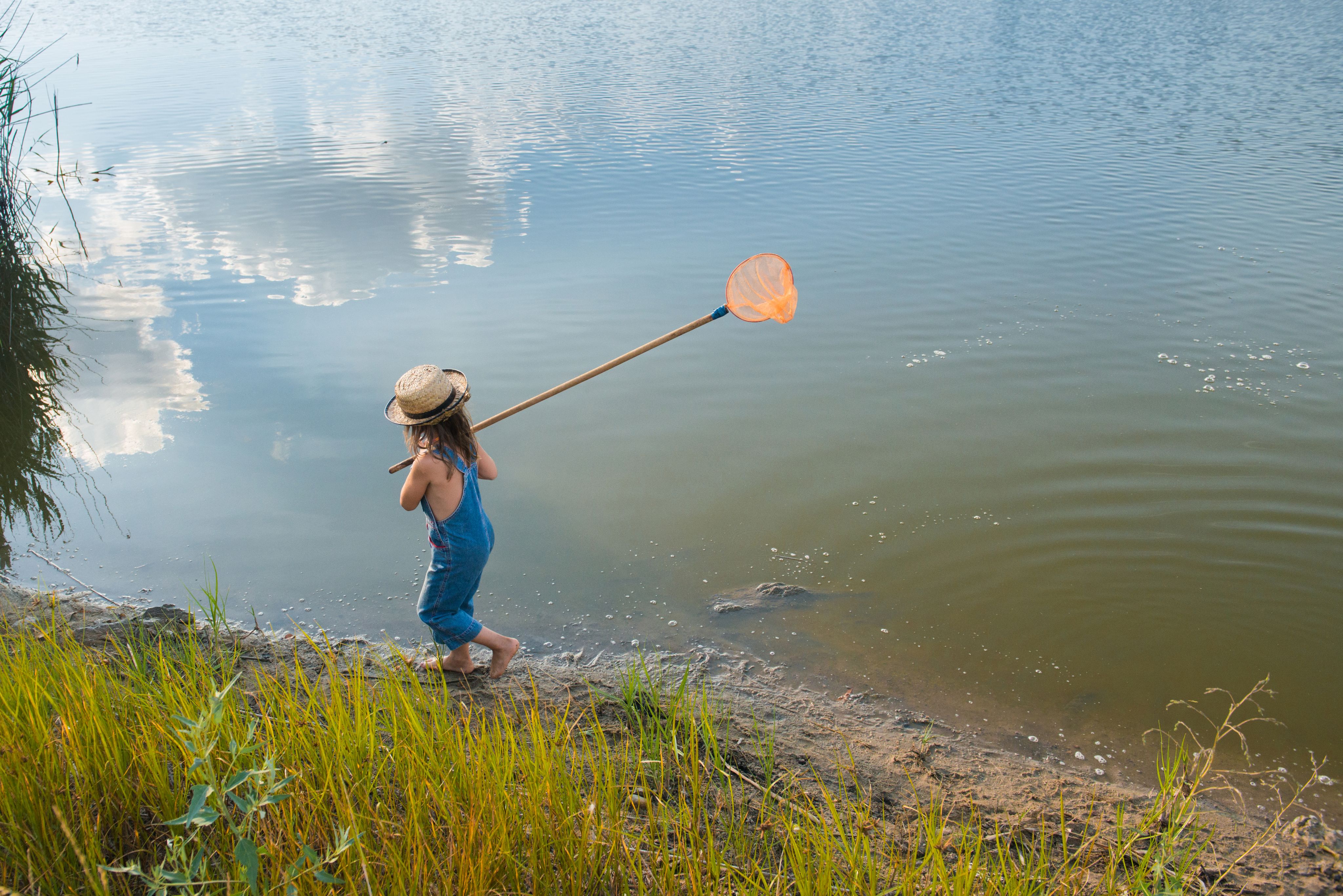 A child playing at the lake edge with a net