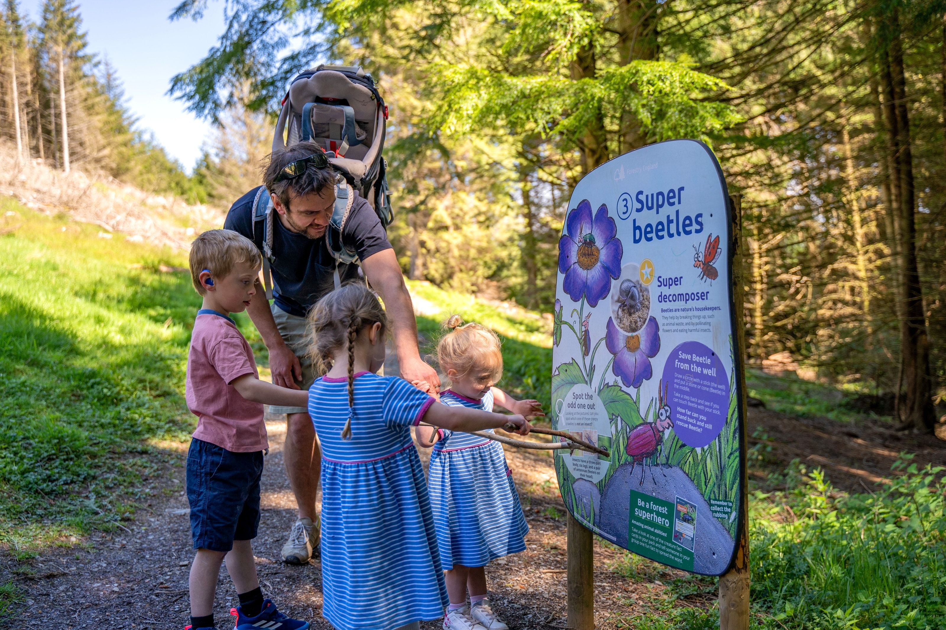 Whinlatter Forest Superworm Trail