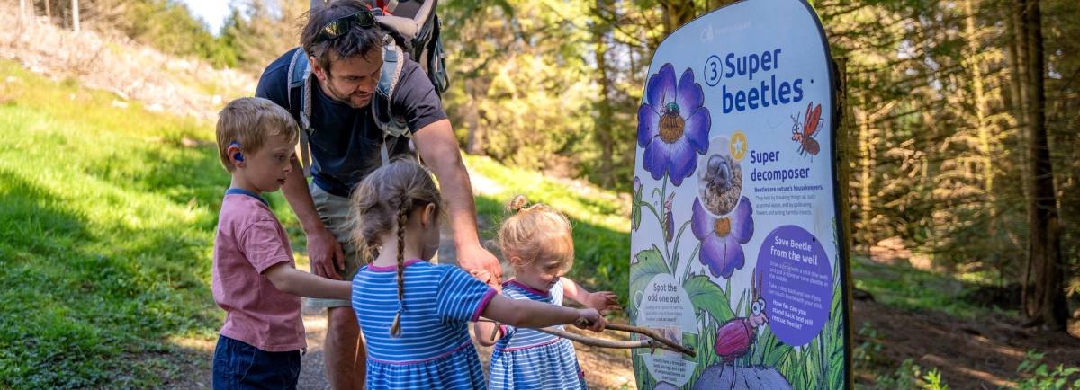 Whinlatter Forest Superworm Trail