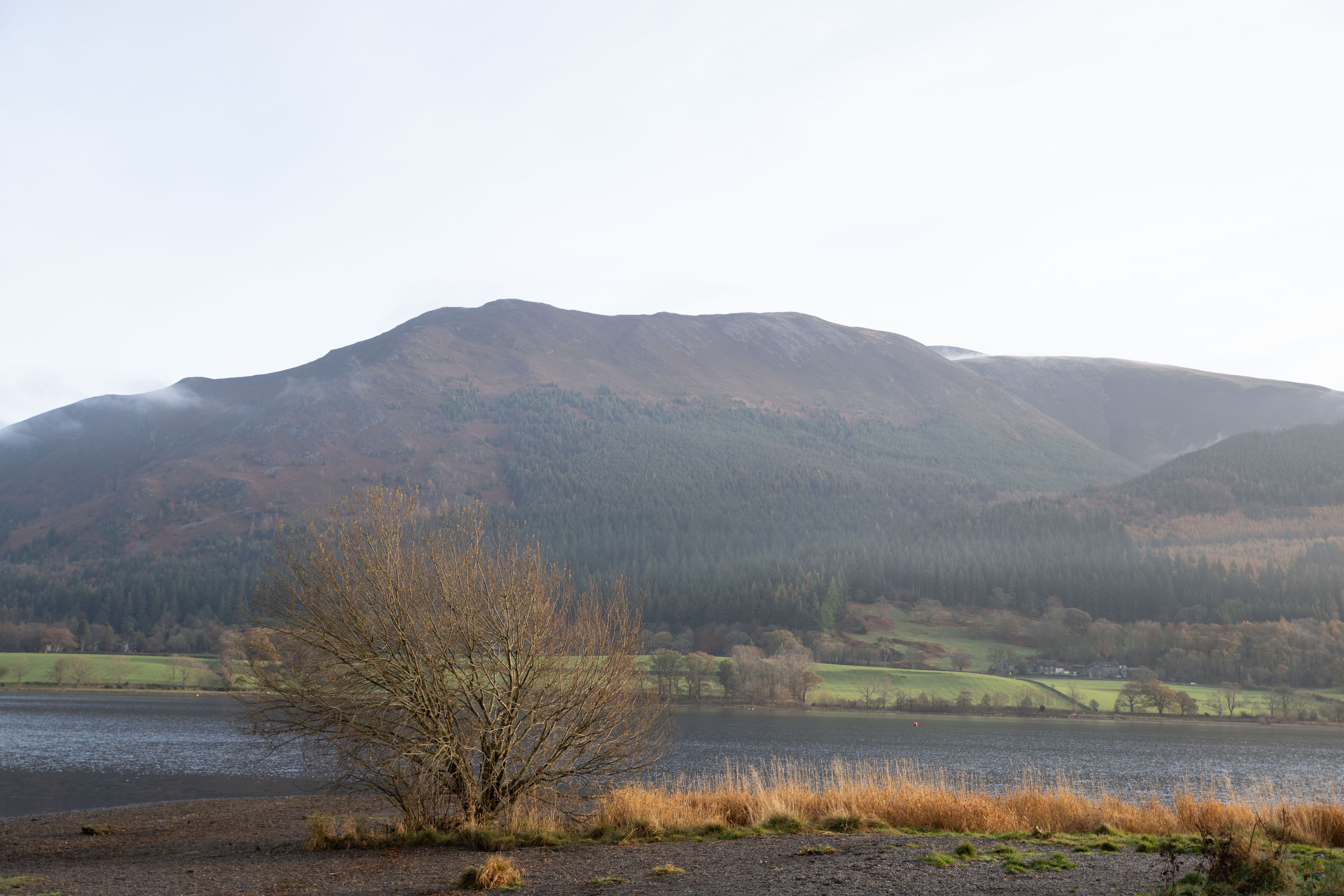 bassenthwaite lake in winter