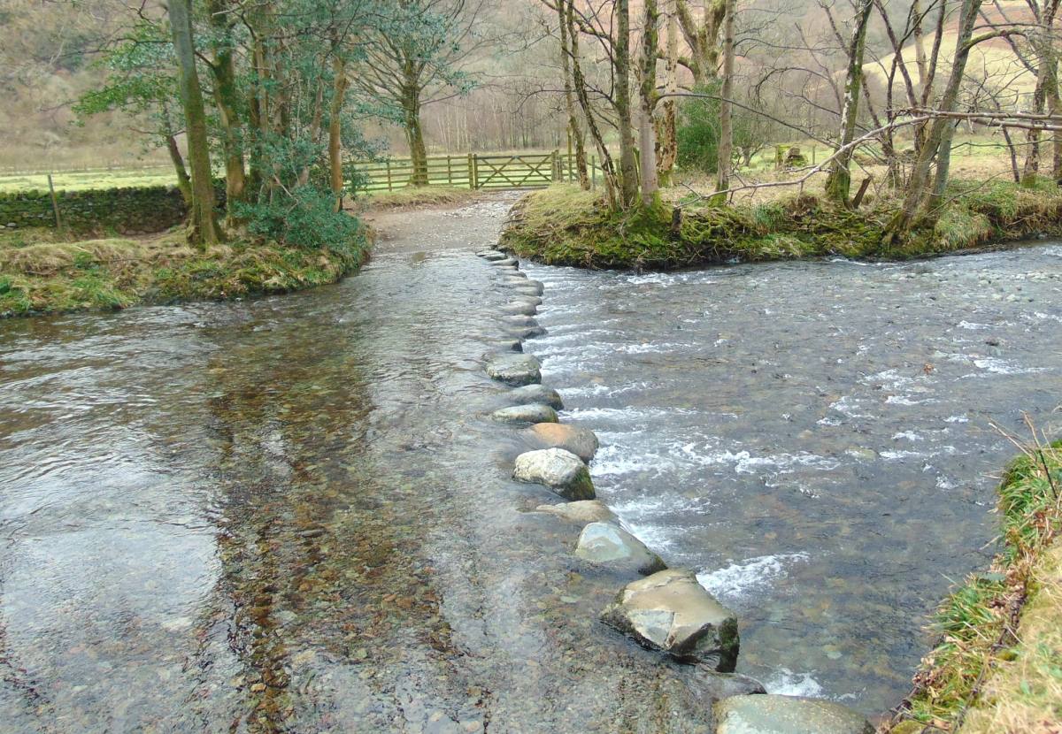 A line of flat stepping stones crossing a wide shallow river between wooded banks