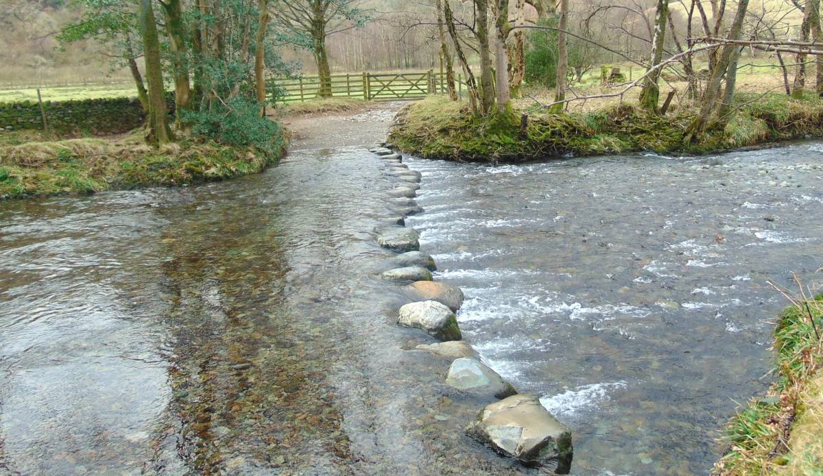 A line of flat stepping stones crossing a wide shallow river between wooded banks