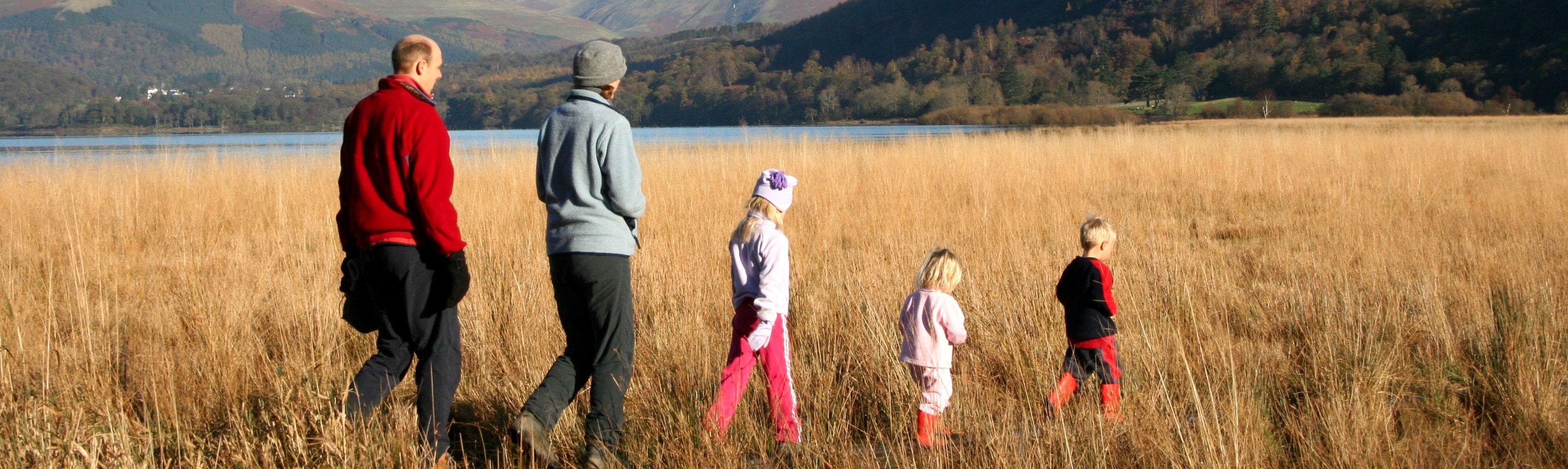 A family walking in single file through waist-high golden grass