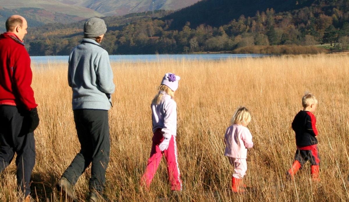 A family walking in single file through waist-high golden grass